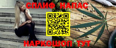 гидропоника Пугачёв