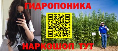 гидропоника Пугачёв